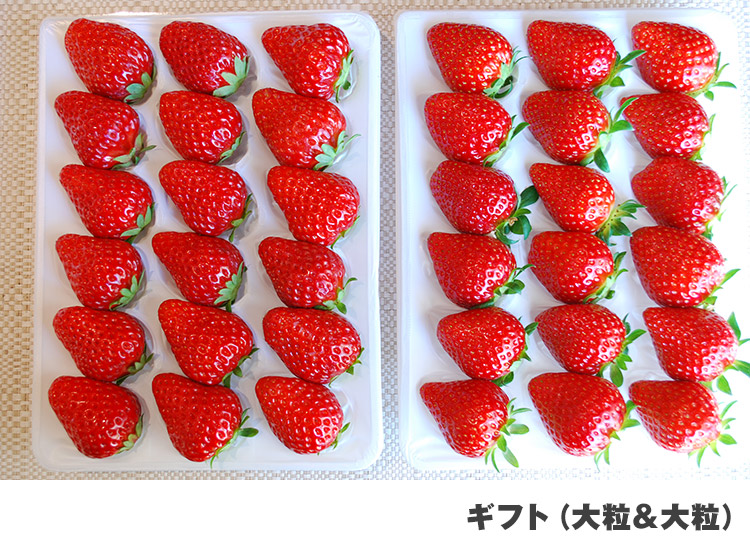 朝採れいちご 直売所（ドギーズアイランド前）